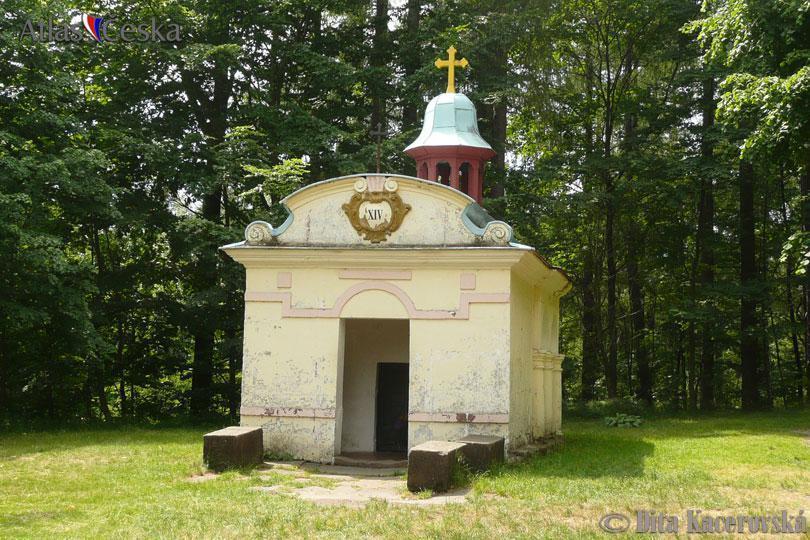 Вилла Chata Pod Tolstejnem Йиржетин-под-Едловоу Экстерьер фото